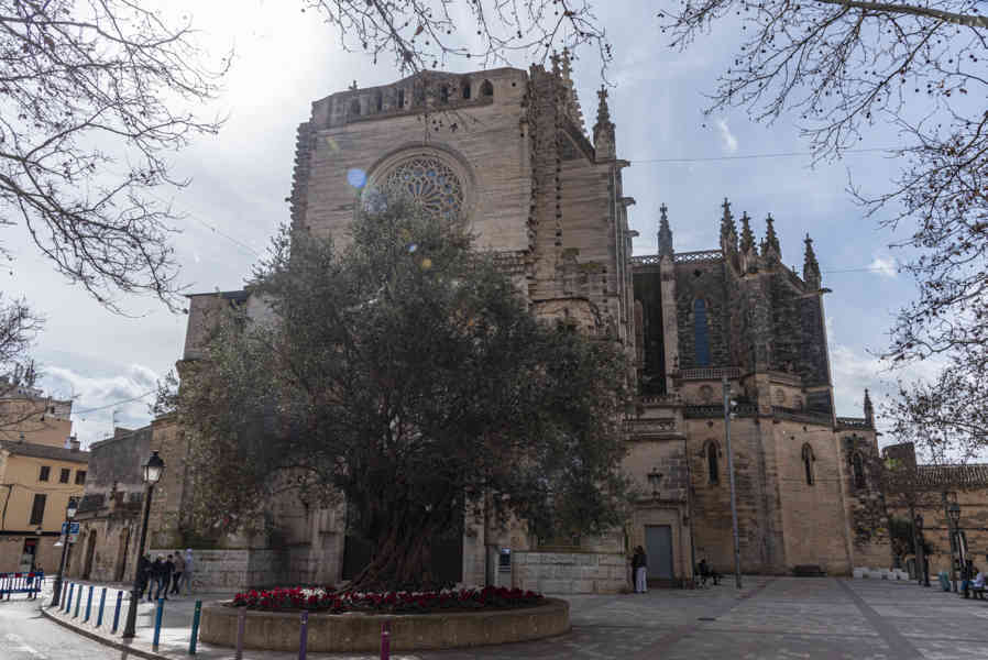 Mallorca - Manacor 02 - iglesia Nostra Senyora dels Dolors.jpg